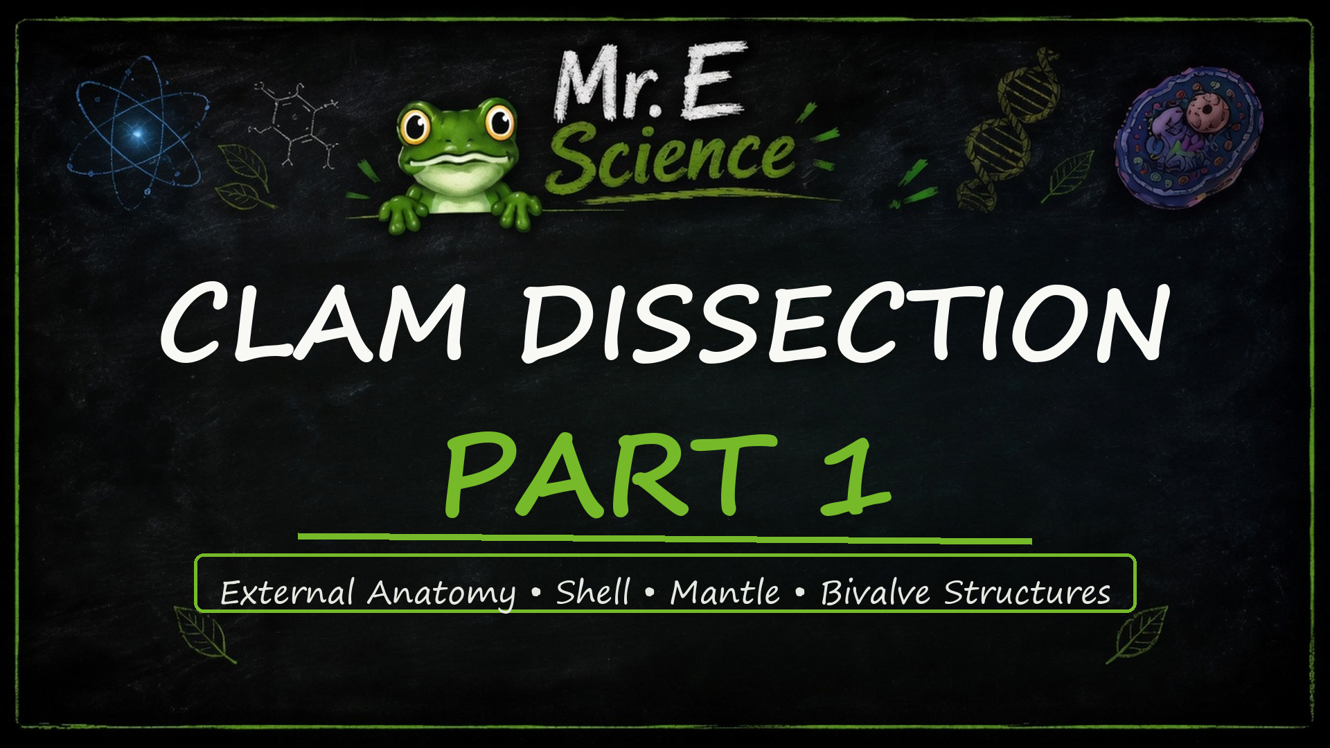 Clam Dissection — Part 1